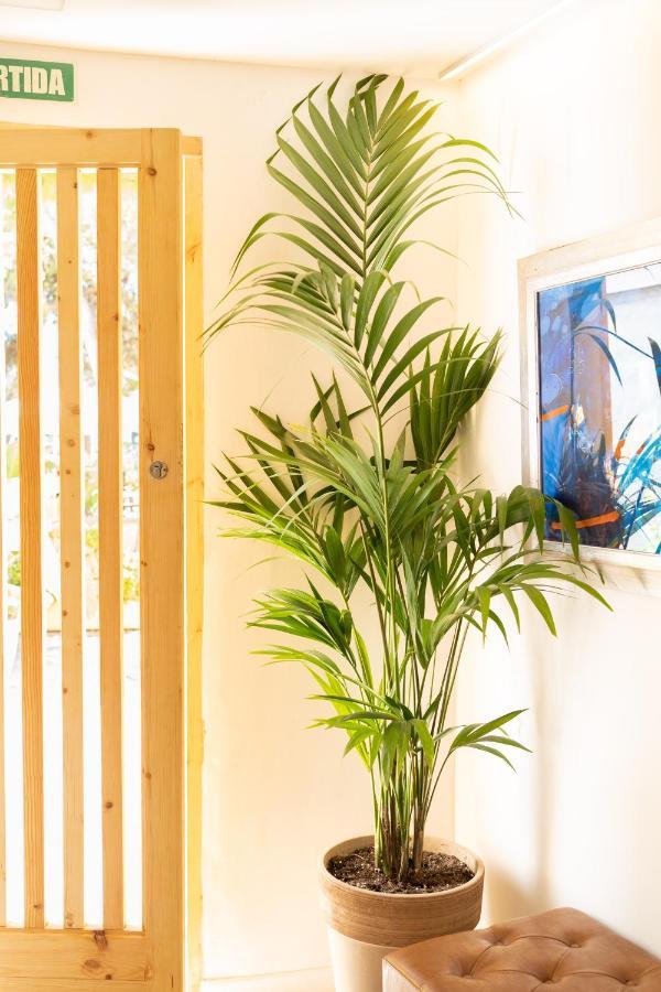 Sitges Beach Hostal Luaran gambar